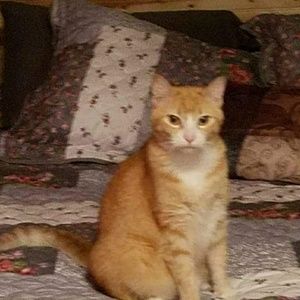 Meet your Posher, Wanita